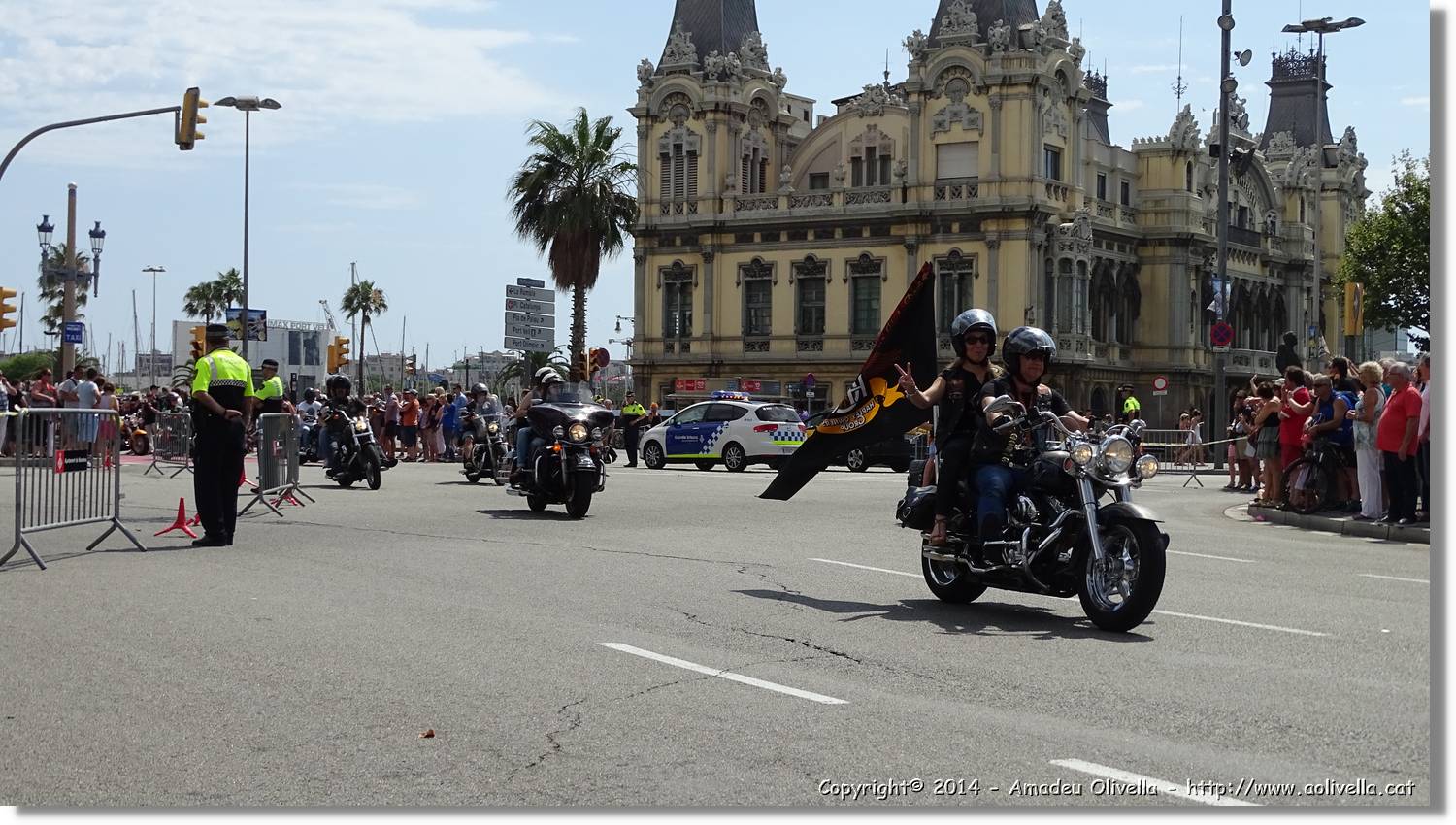 HarleyD_017.jpg