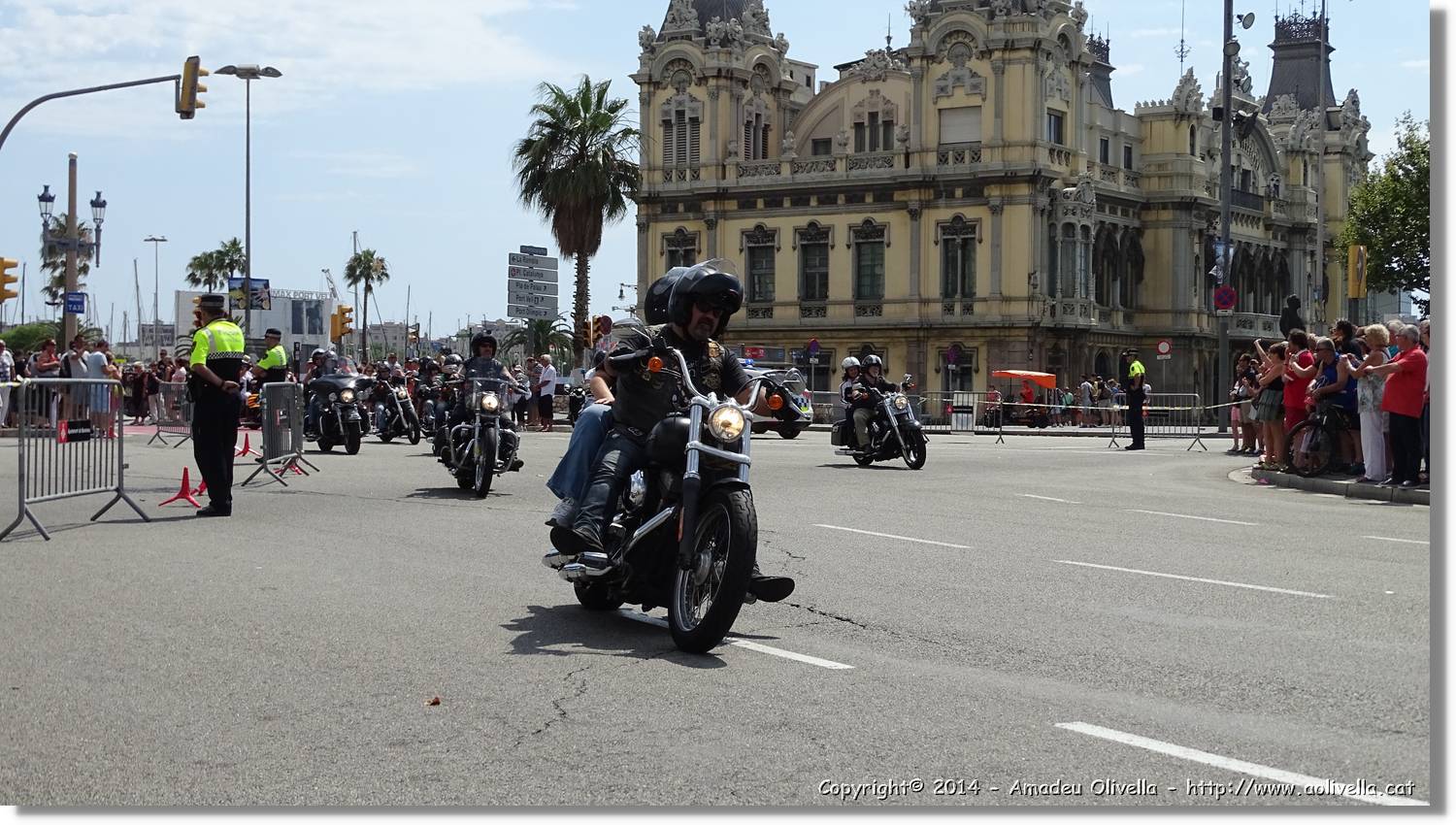 HarleyD_018.jpg