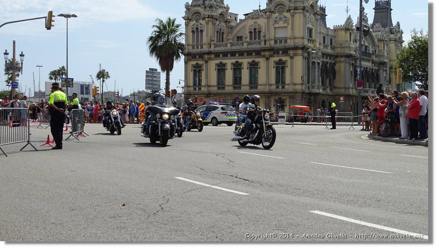 HarleyD_019.jpg