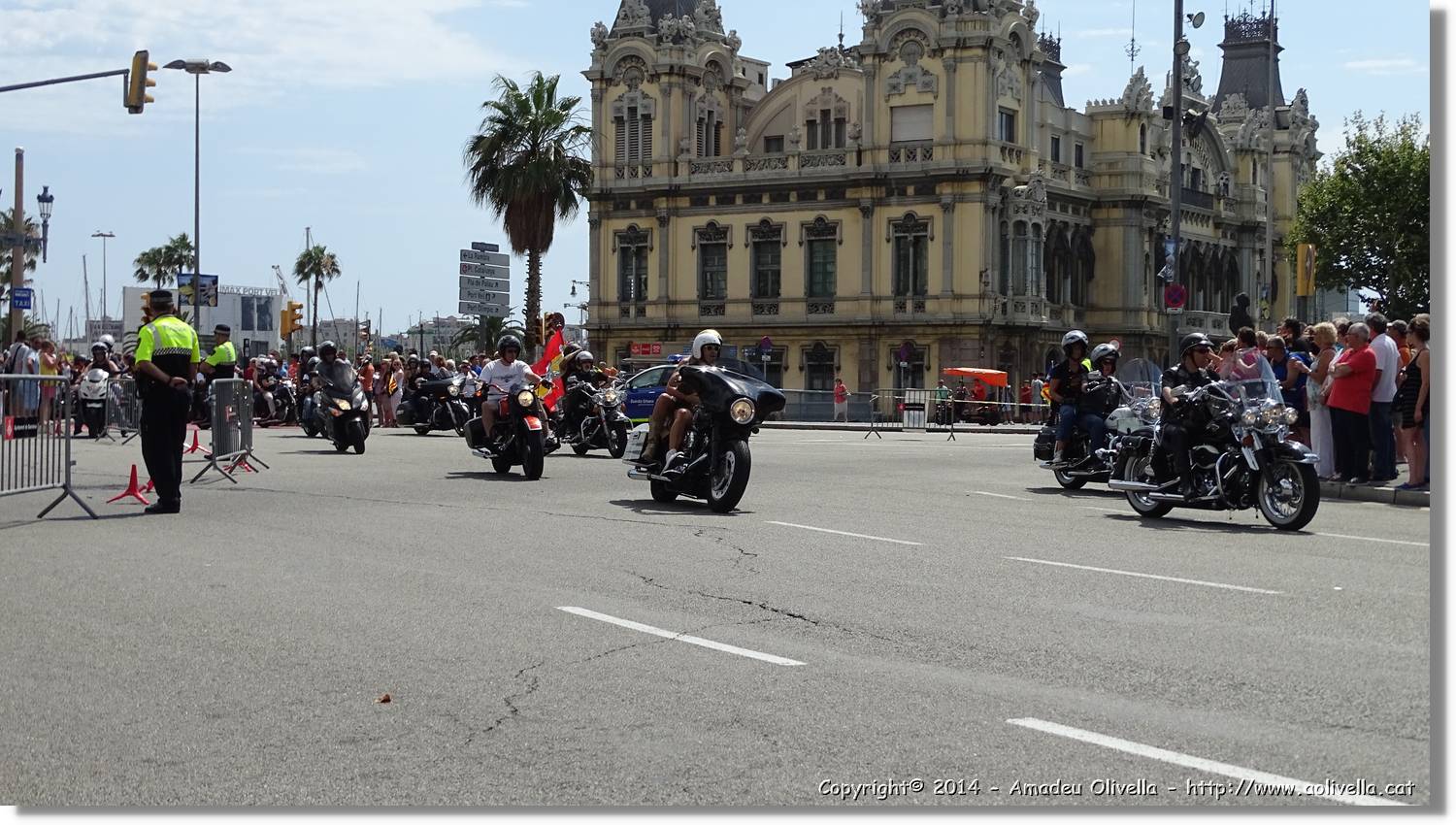 HarleyD_020.jpg