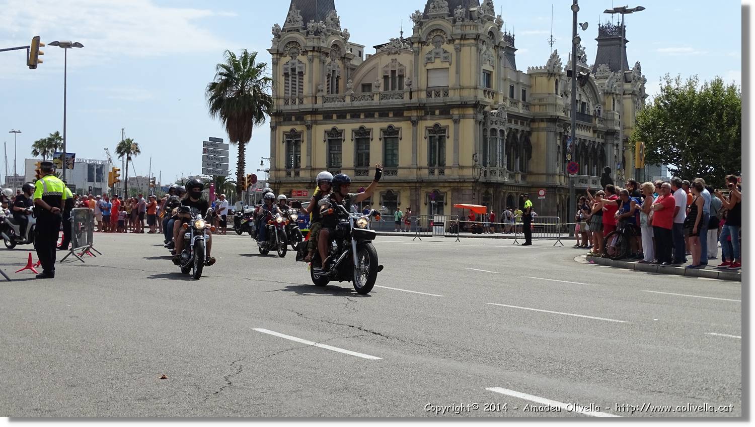 HarleyD_021.jpg
