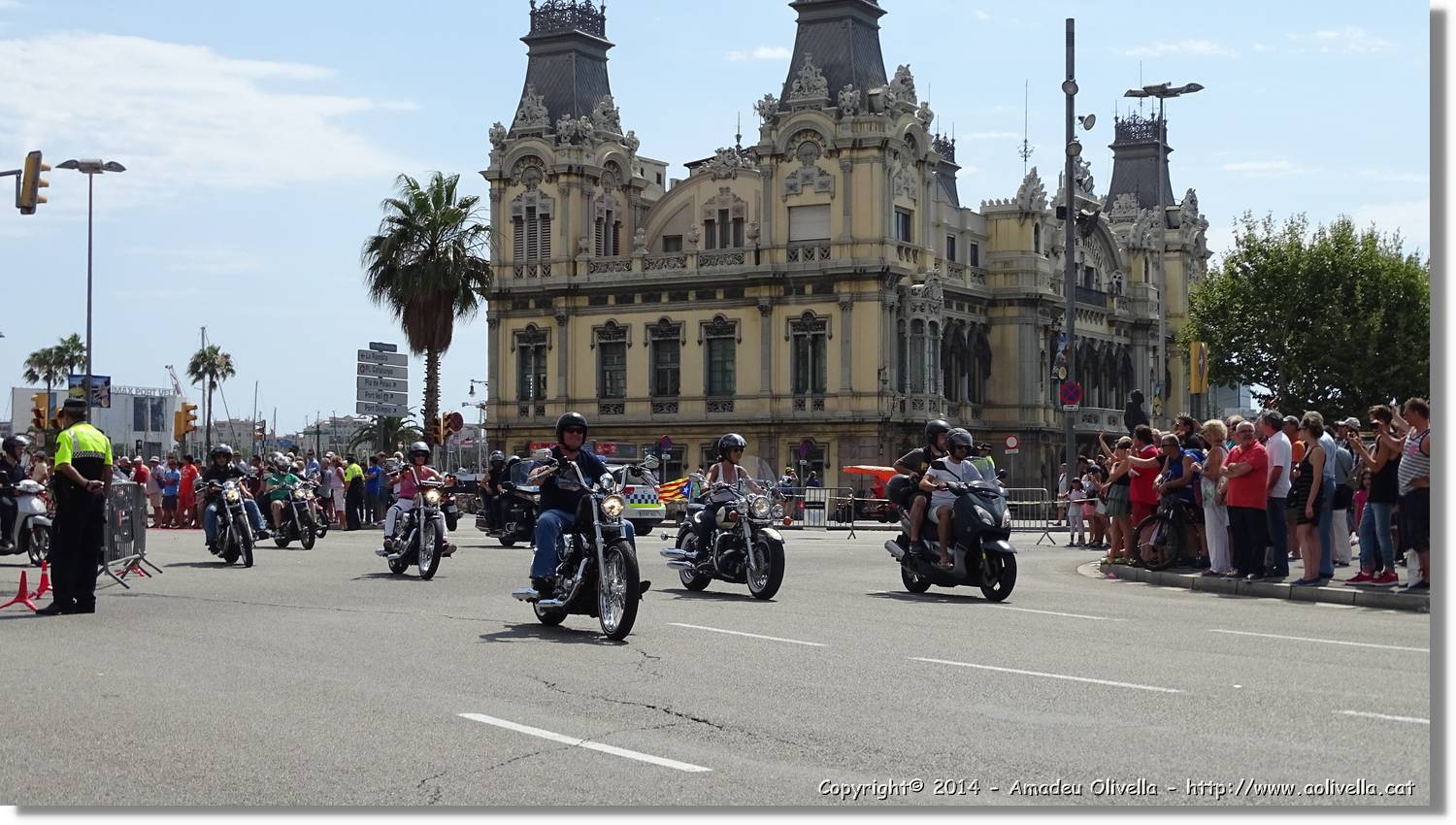HarleyD_022.jpg