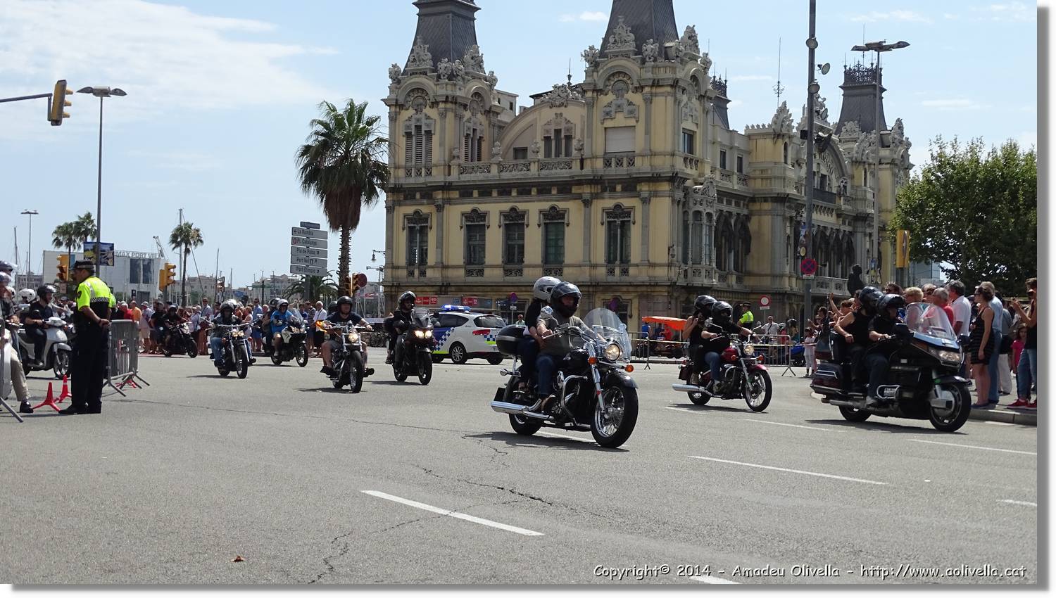 HarleyD_023.jpg