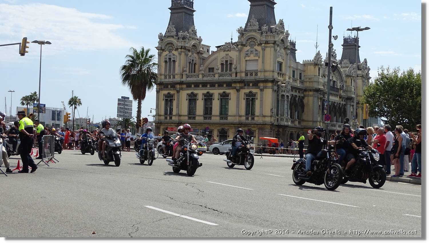 HarleyD_024.jpg