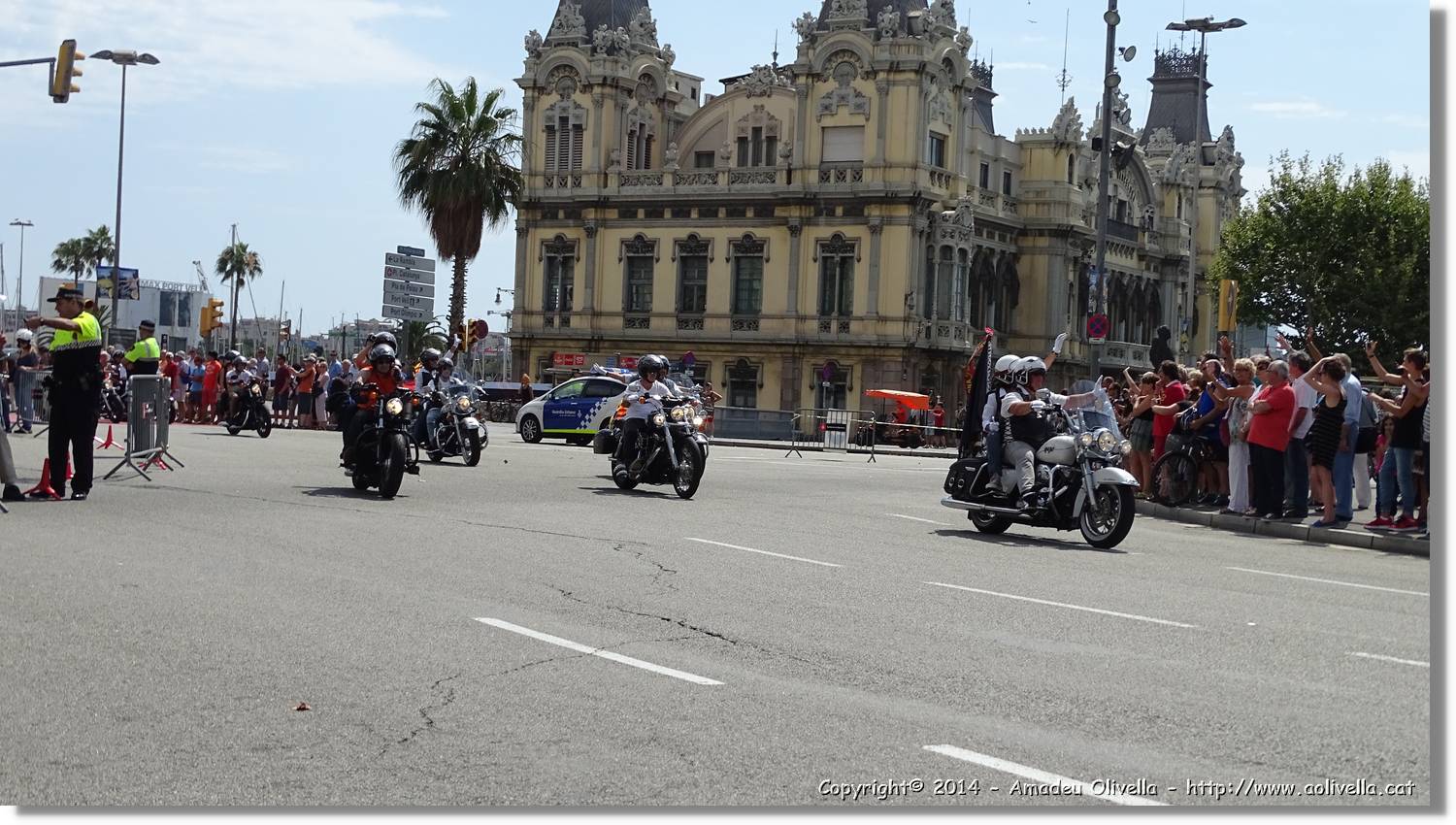HarleyD_026.jpg
