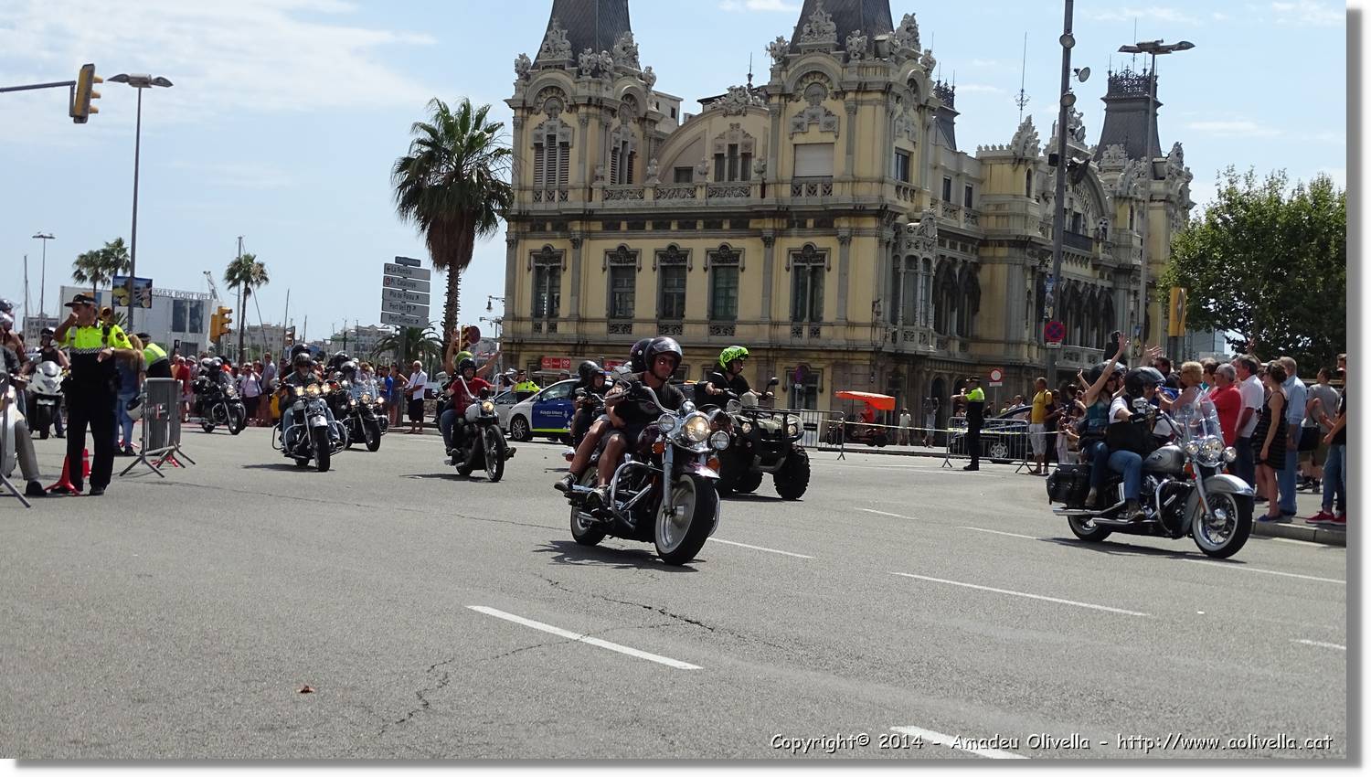 HarleyD_028.jpg