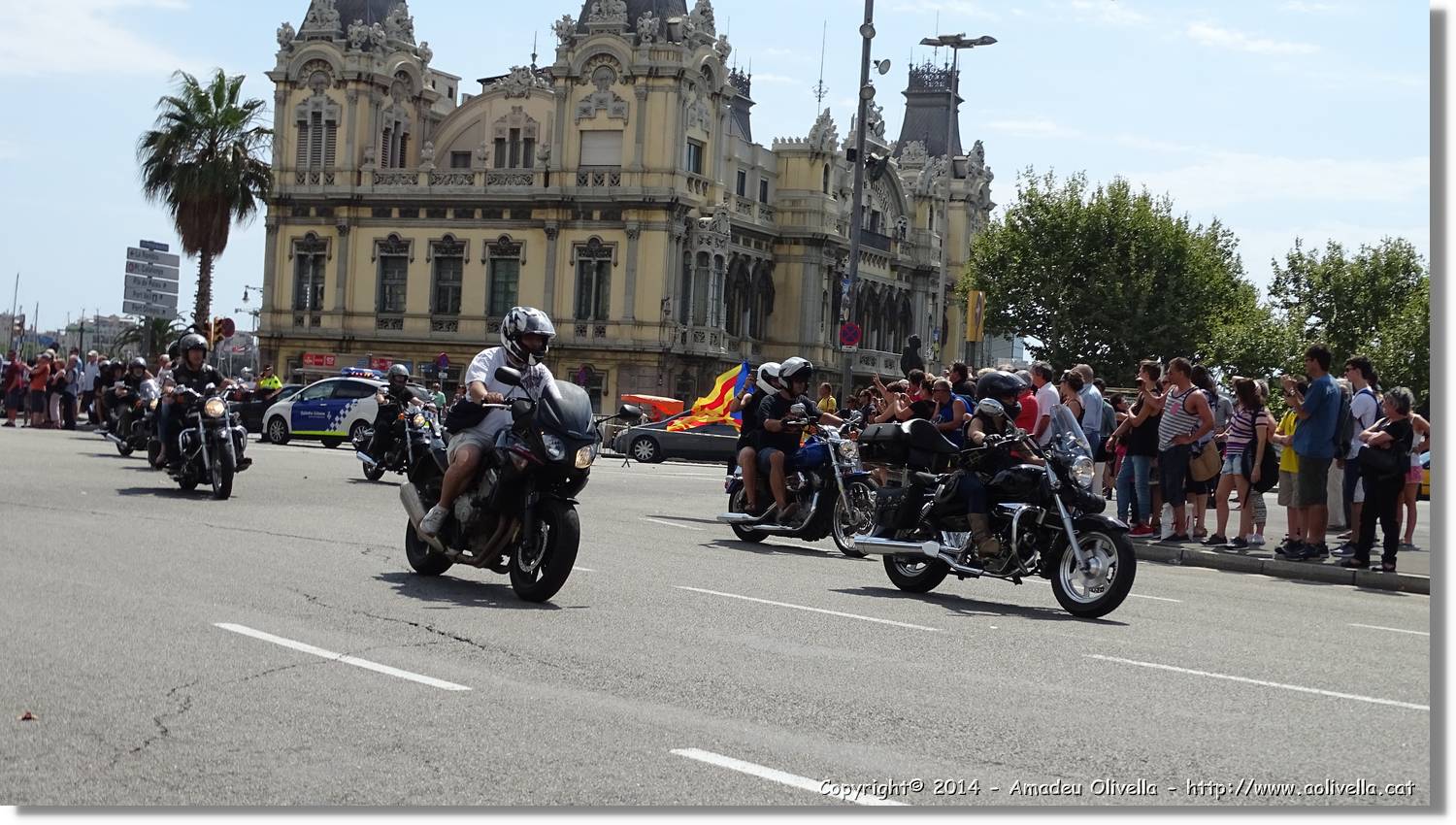 HarleyD_029.jpg
