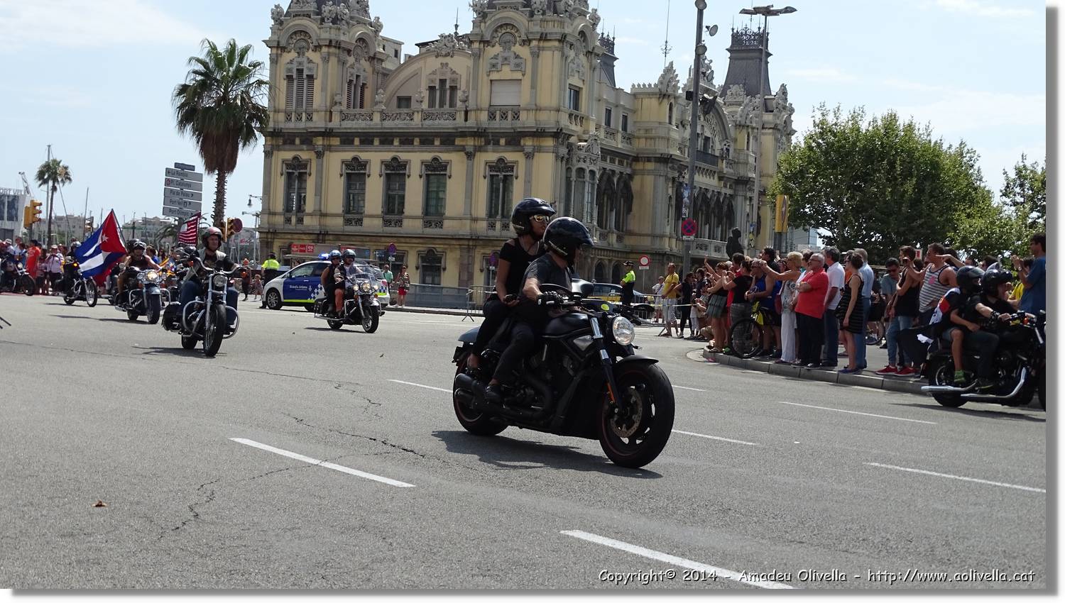 HarleyD_030.jpg