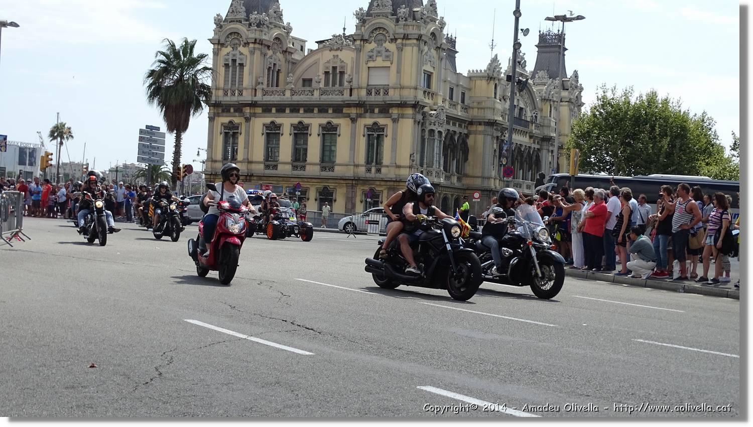 HarleyD_032.jpg