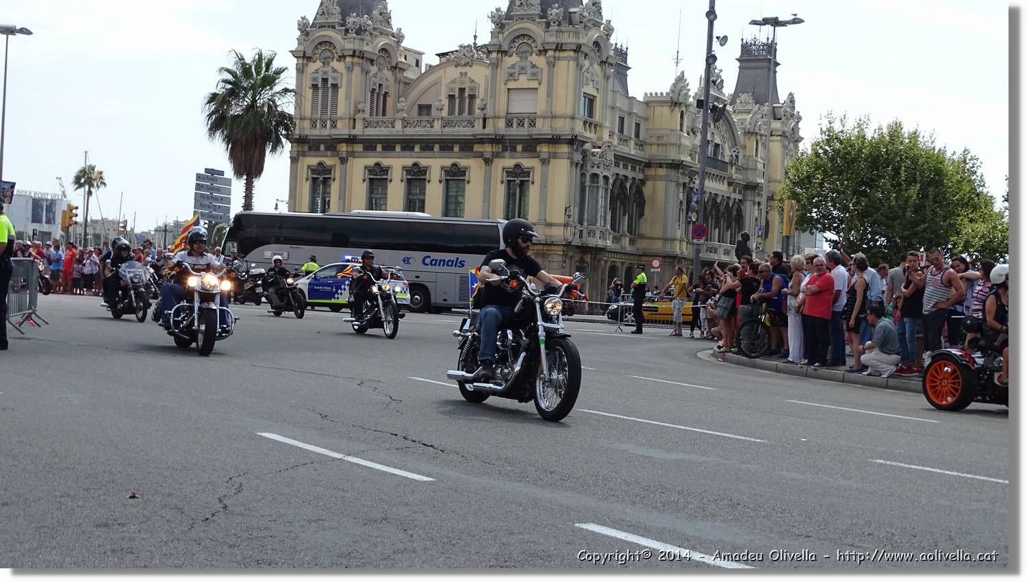 HarleyD_033.jpg