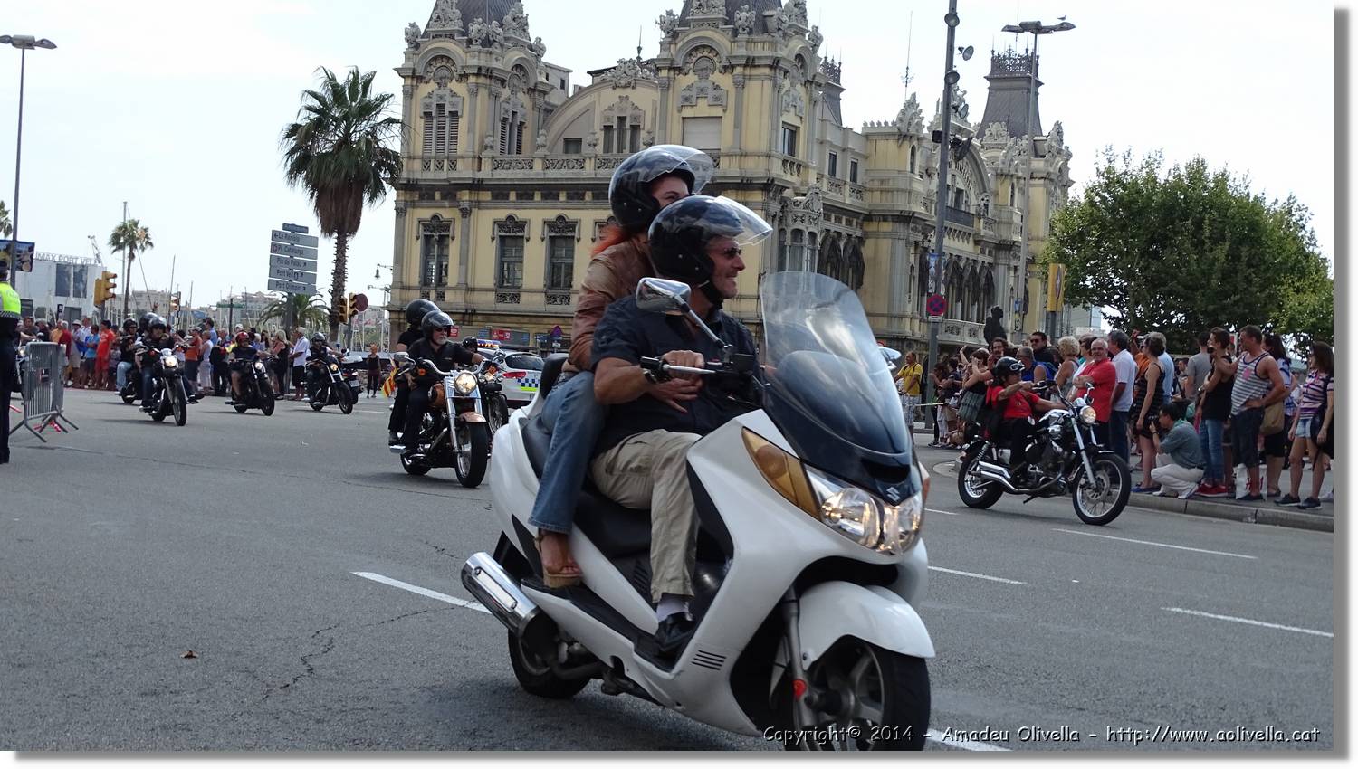 HarleyD_034.jpg