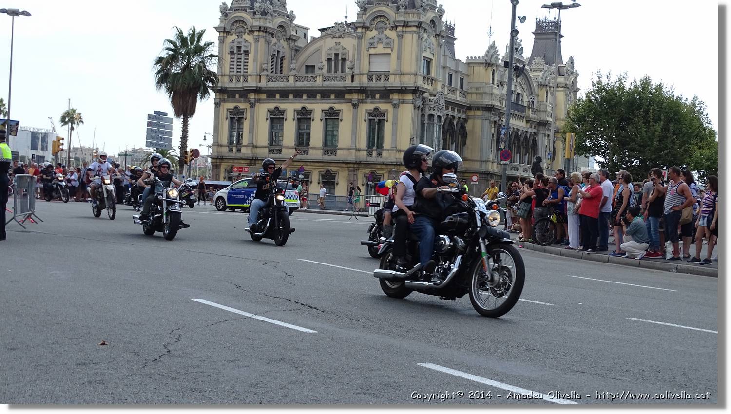 HarleyD_035.jpg