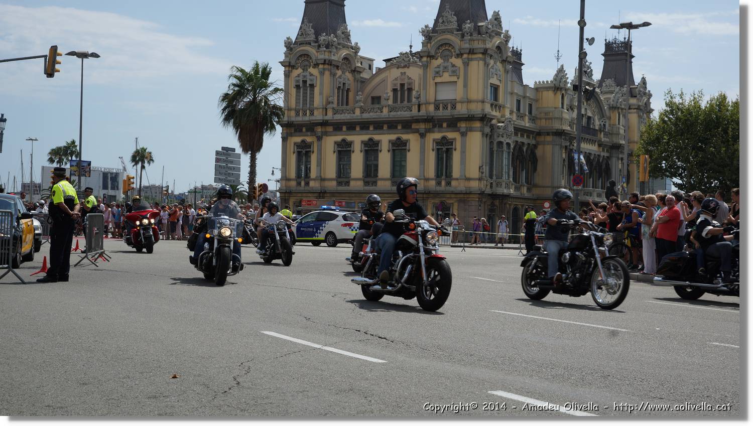 HarleyD_036.jpg