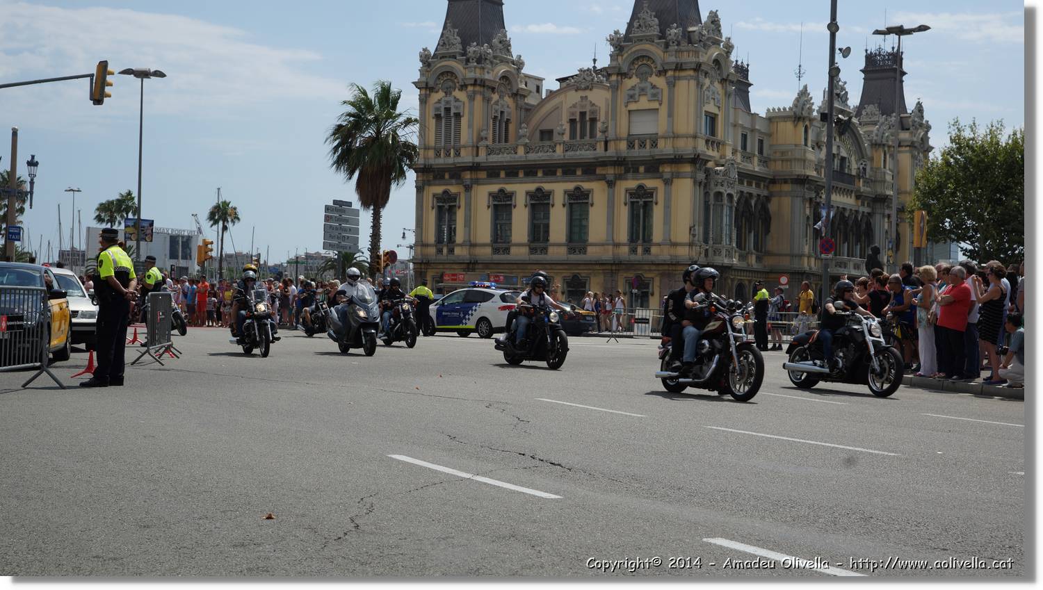 HarleyD_038.jpg