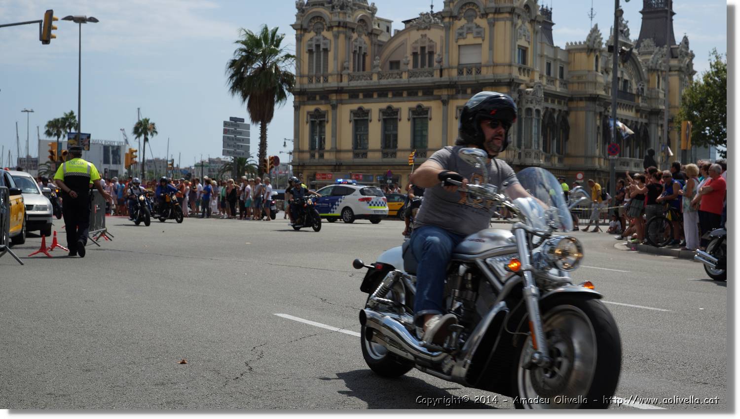 HarleyD_040.jpg