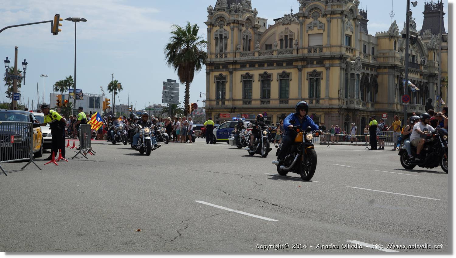 HarleyD_041.jpg