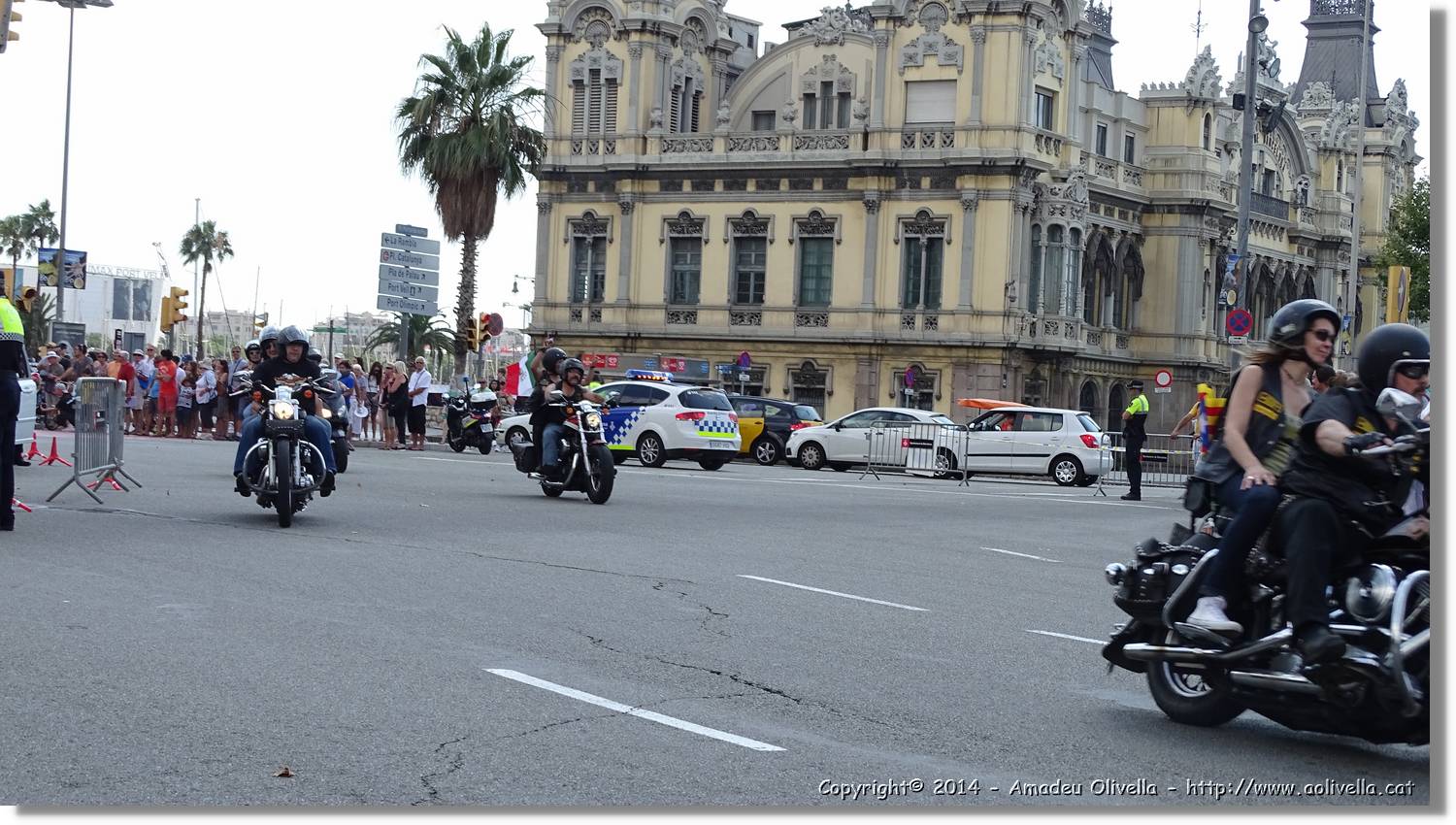 HarleyD_042.jpg