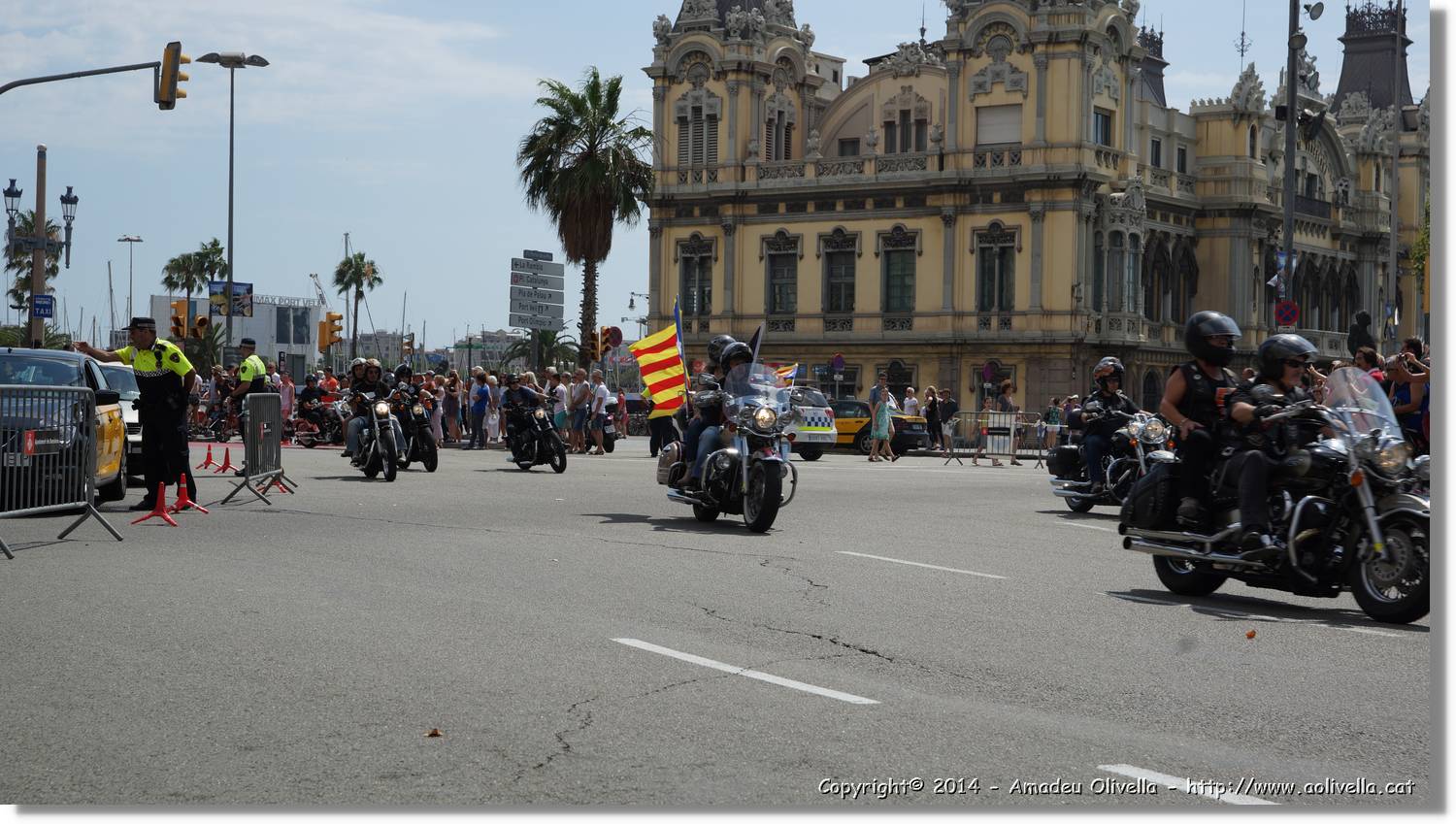 HarleyD_043.jpg