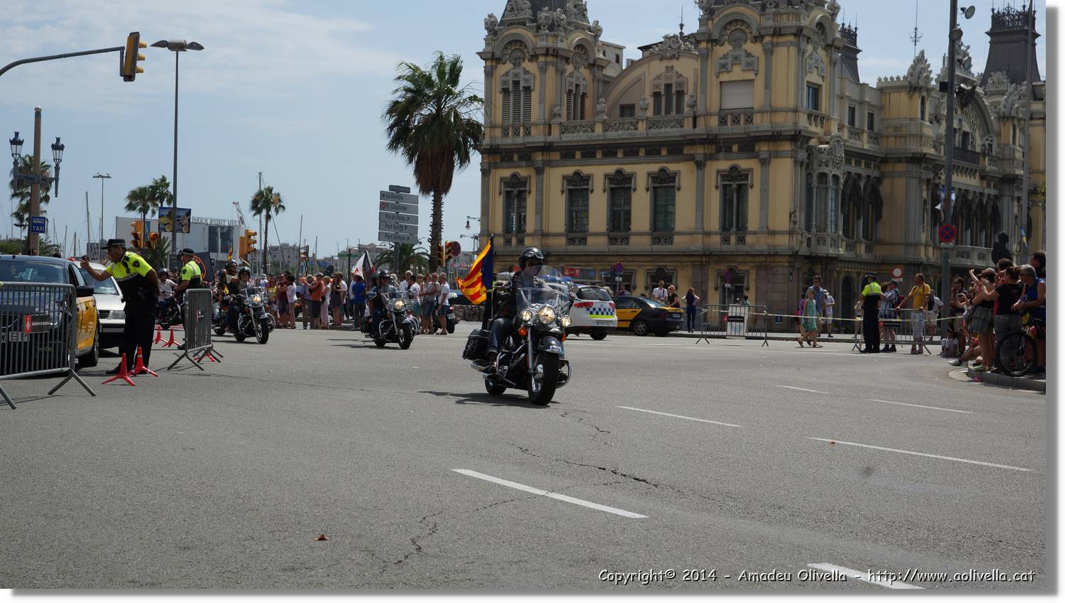 HarleyD_045.jpg