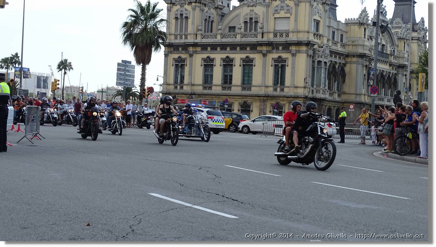HarleyD_046.jpg