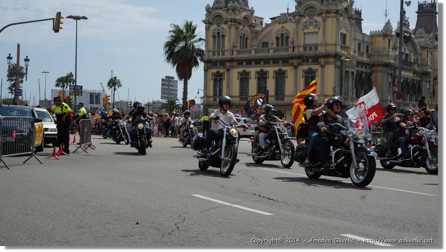 HarleyD_047.jpg