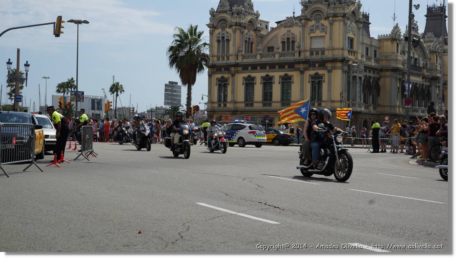 HarleyD_049.jpg