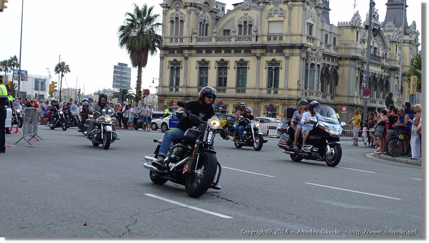 HarleyD_050.jpg