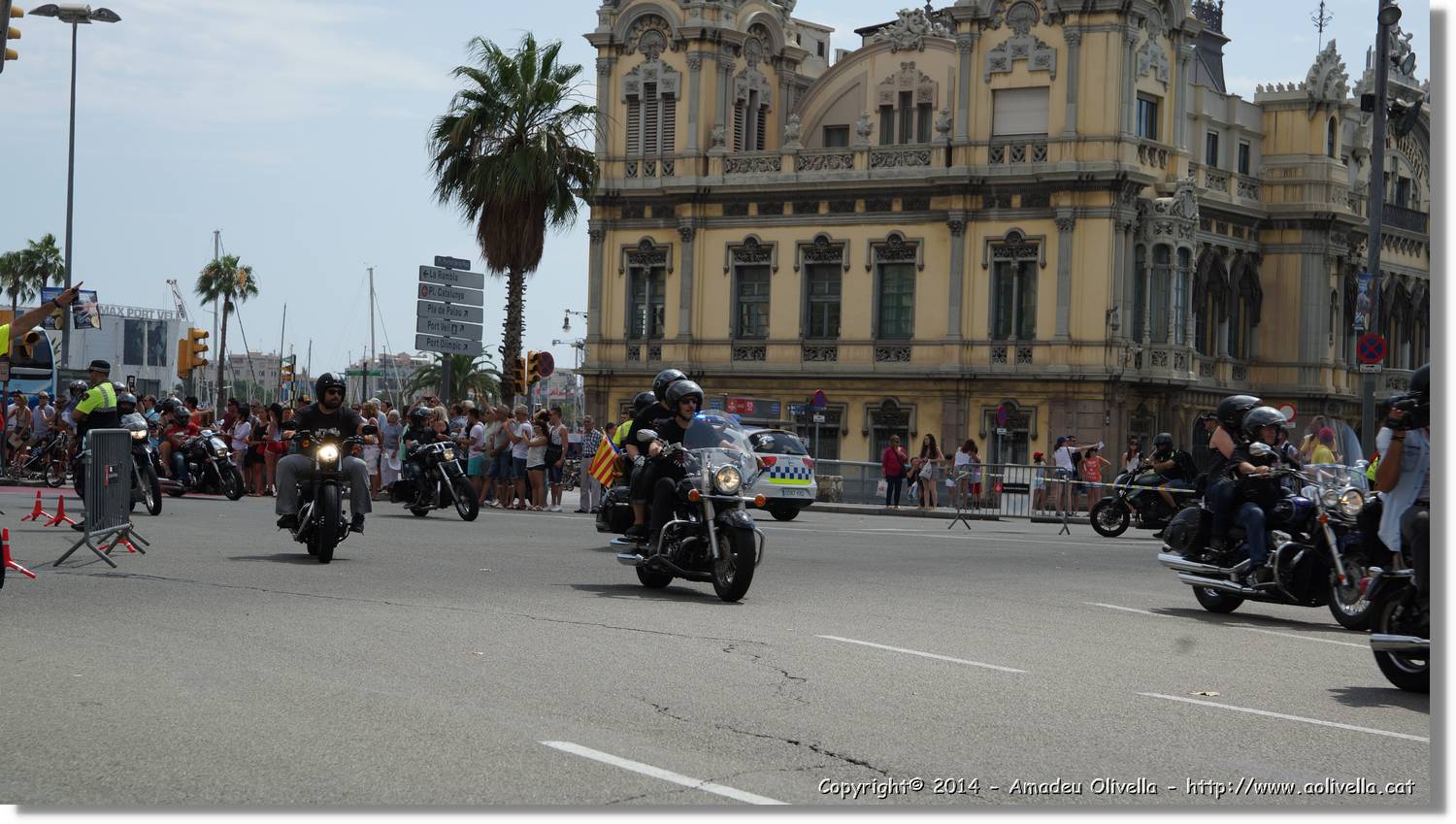 HarleyD_093.jpg