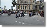 HarleyD_077.jpg