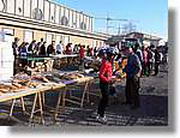 Transequia_001.jpg(150 KB)