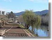 Transequia_015.jpg(107 KB)