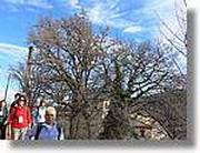 Transequia_026.jpg(208 KB)