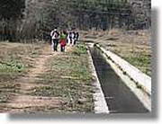 Transequia_028.jpg(167 KB)