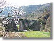 Transequia_031.jpg(163 KB)