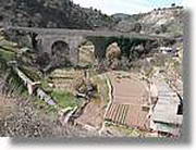 Transequia_045.jpg(168 KB)