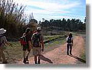 Transequia_049.jpg(129 KB)