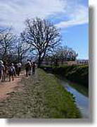 Transequia_050.jpg(133 KB)