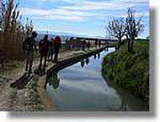 Transequia_051.jpg(118 KB)