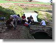 Transequia_058.jpg(147 KB)