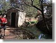 Transequia_061.jpg(177 KB)