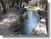 Transequia_063.jpg(178 KB)