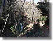 Transequia_064.jpg(195 KB)