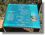 Transequia_065.jpg(156 KB)