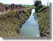 Transequia_068.jpg(169 KB)