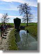 Transequia_069.jpg(126 KB)