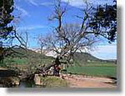 Transequia_078.jpg(168 KB)