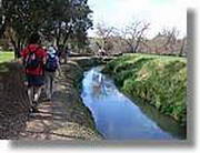 Transequia_081.jpg(147 KB)