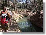 Transequia_082.jpg(182 KB)