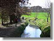 Transequia_085.jpg(167 KB)