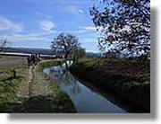 Transequia_086.jpg(135 KB)